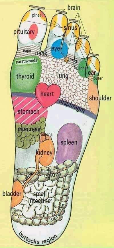 riflessologia plantare: leggerci attraverso il piede